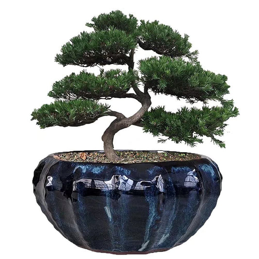 Fowargif 8inch Modern Large Shinny Black Ceramic Bonsai Pot,Cactus pots,Ceramic Plant Pot for Orchids,Decorative Orchid pots with Hole (Midnight Black)