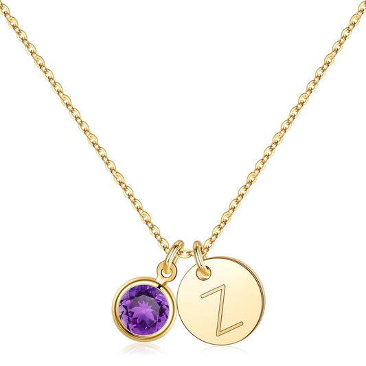 Hidepoo Initial Birthstone Necklace Gifts - Personalized Mothers Day Birthday Gift for Woman Wife Sister Grandma Mom, February Birthstone for Women, Disc Letter Z Necklaces