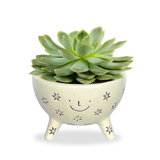 SLS SUPPLY FLORA Facepot Ceramic Planter with a Smiling Face, Succulent and Flower Pot for Home and Office, Cute Plant Vase for Indoor Gardening, 5.63 (W) x 3.75 (H) inches