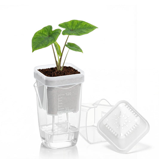 QCQHDU 15-Pack 2 Inch Mini Self Watering Pots for Indoor Plants, Semi Hydroponic Pots, Small Clear Plastic Planters, Drainage Hole, Water Level Indicator, African Violets, Alocasia, Cutting, Seeding
