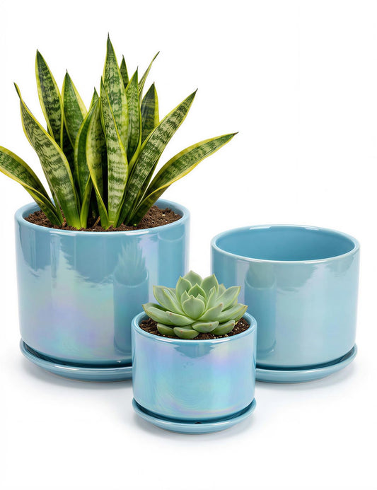 EFISPSS Ceramic Planter 4+5+6 Inch Ceramic Flower pots for Indoor Plants with Drainage,for Succulent Cactus,Garden Planters,Modern Decorative for Home Blue Pearl Glaze Plant Pots