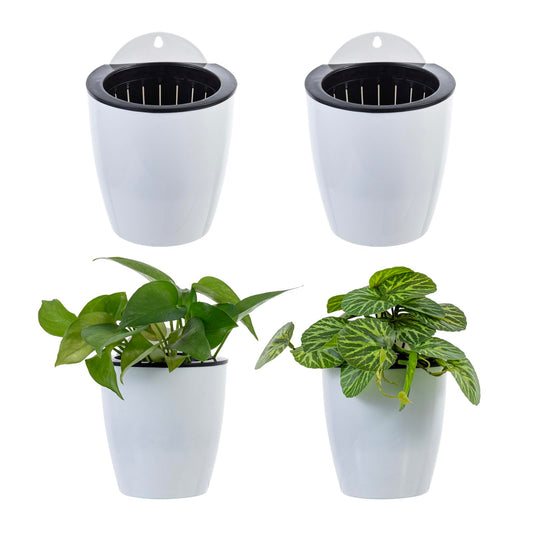 MyGift 5 Inch Wall Mounted Modern White Plastic Self Watering Planter Pots, Small Hanging Double Layer Wall Planter, Tabletop Mini Plant Container for Herb Succulent Cactus Flower, Set of 4