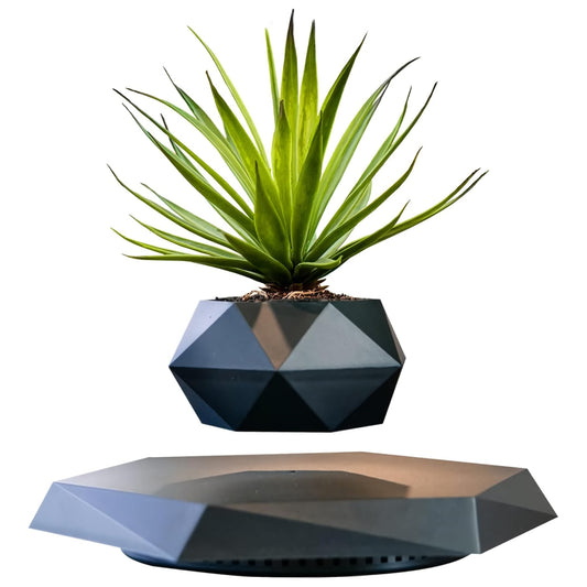 HCNT Levitating Plant Pot, Magnetic Levitation Flower Pot Rotating Planters Suspension Floating Plant Succulents Potted for Home Living Room Office Desk Decoration (Black)