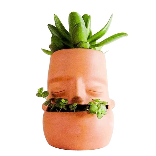 Maveite Terra Cotta Face Succulent Pots Planter Clay Pot Pretty Tribe Face Planter Holder Indoor Flower Pot Crafts Breathing Terracotta Planter DIY Decorative Beautiful Home Housewarming Gift