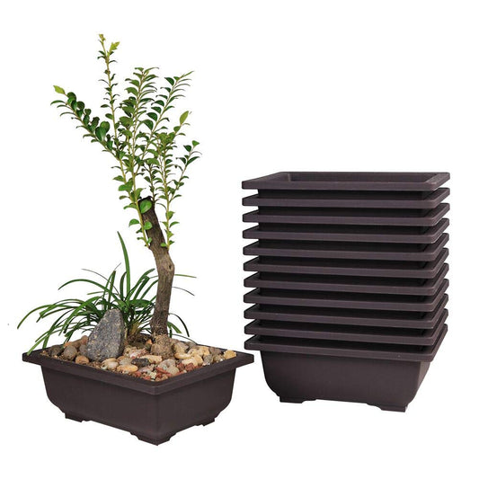 MUZHI 12PACK RetroStyle Plastic Bonsai Training Pots Balcony Indoor Rectangle Square Flower Pots 6"