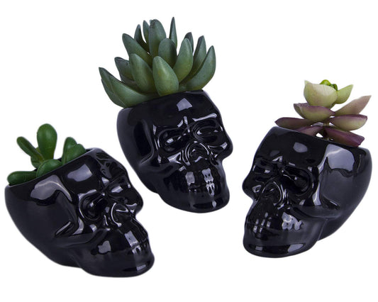VanEnjoy Set of 3 Black Ceramic Skull Shaped Succulent Planter Pots Creative Cactus Plant Pot Pen Pencil Holder, Home Office Desk Decoration