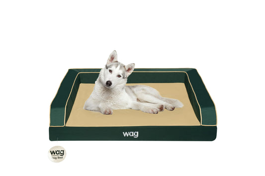 Wag Premium Pet Dog Bed | Multi Layer Construction with Cooling Energy Gel and Copper Infusion | Machine Washable Cover and Water Resistant Inner Liner | Large, Pine Green