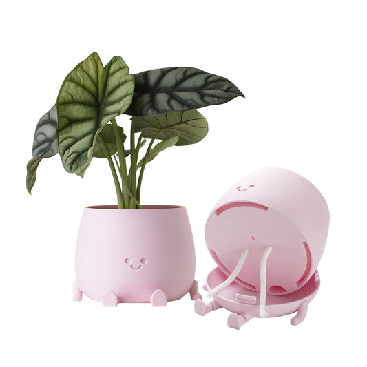 TOPOLA Happy Face Planter, 5.2 Inches Plastic Plant Pot, Self Watering Plant Pot with Drainage Holes for Indoor Outdoor, Succulent Pot, Funny Flower Pot, Sakura