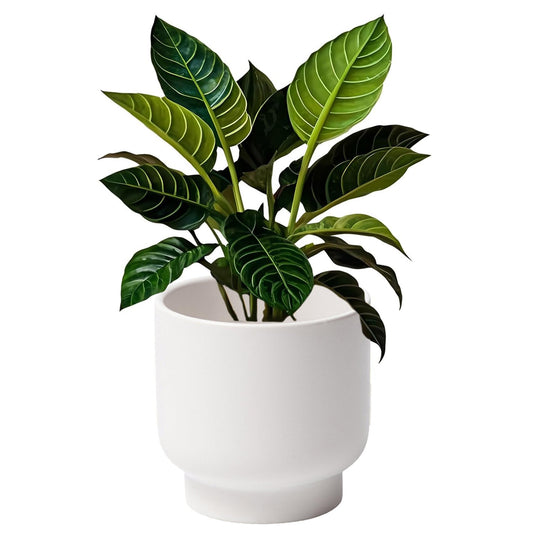 LB White Ceramic Planters for Indoor Plants, Succulent Plant Pots Ceramic Flower Pots, Modern Plant Pot for Living Room Office Home Decor, Round Flower Pot of 4.3 Inch(Plant Not Included)