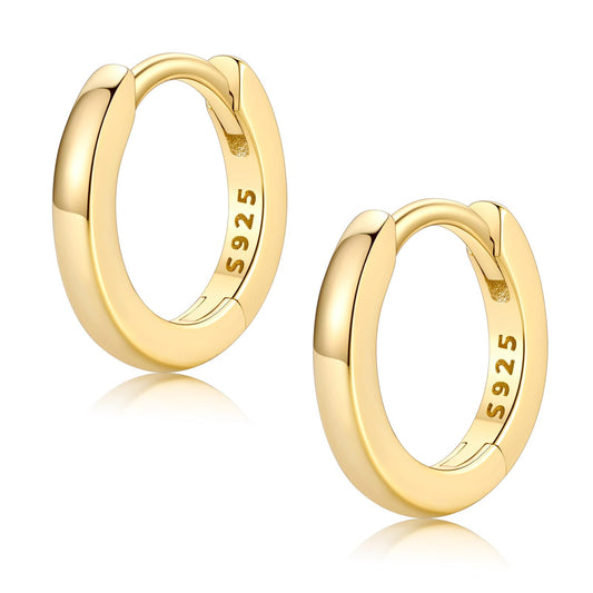 FaithHeart 925 Sterling Silver Huggie Hoop Earrings, Small Silver Hoop Earring for Women, 14K Gold Hypoallergenic Cartilage Earrings for Women 8mm