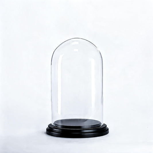 CYS EXCEL Glass Dome Cloche (H:9.25" D:5.5”) with Black Wood Base Decorative Showcase Display for Antique Collectible Bell Jar Terrarium Dessert Cover