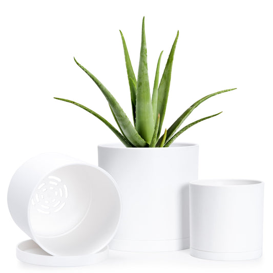 D'vine Dev 4 Inch 5 Inch 6 Inch, Set of 3 Plastic Planter Pots for Plants with Drainage Hole and Seamless Saucers, White Color, Small, 74-V-A-1