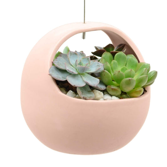 Arcadia Garden Products AP10C Ceramic Air Planter, 4.5x4.5 Basket Style-Coral