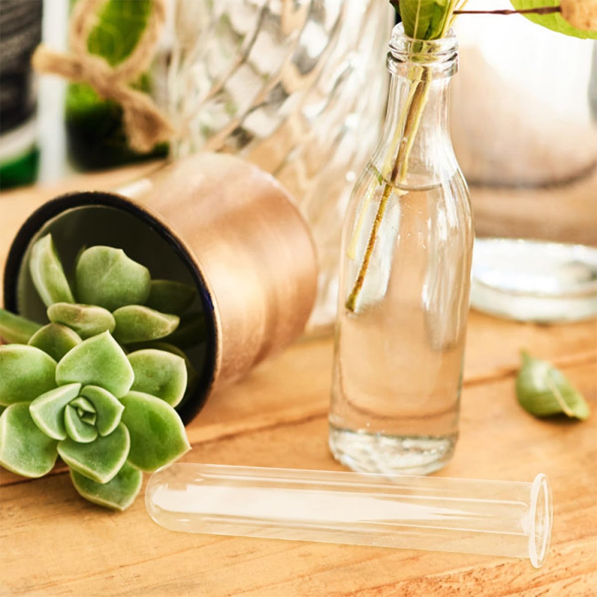 JOINPAYA 4pcs Glass Propagation Tubes Hydroponic Plant Test Tube Vases 2.5x3x18cm for Desktop Terrarium and Wall Terrarium Supplies