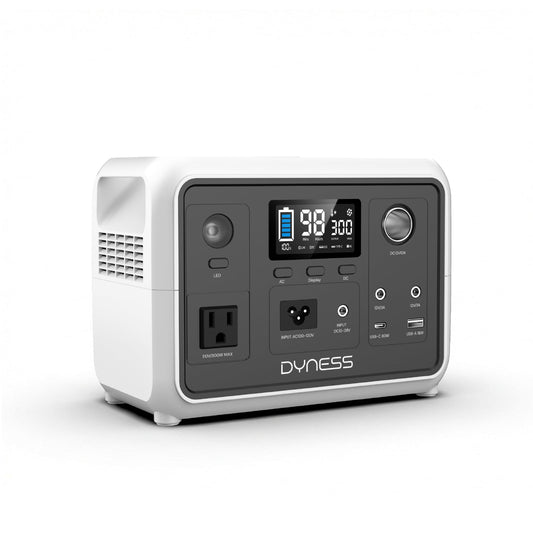 DYNESS Portable Power Station 300W, 256Wh Solar Generator with 110V Pure Sine Wave AC Outlet, LiFePO4 Battery for Camping, Home Backup, RV, CPAP, Outdoor Emergency (Solar Panel Optional)