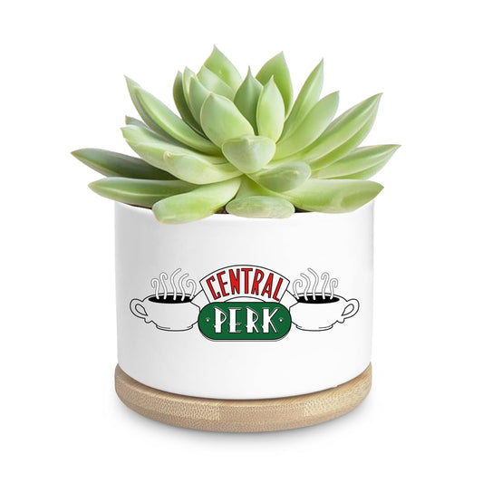 Ywkuiev Succulent Planter, Flower Cactus Plant Pot, Friends Merchandise, Funny Friendship Decor Themed Gifts for Men Women Best Friends Bestie Sister Housewarming Gift (Plants Not Included)