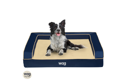 Wag Premium Pet Dog Bed | Multi Layer Construction with Cooling Energy Gel and Copper Infusion | Machine Washable Cover and Water Resistant Inner Liner | Extra Large, Ocean Blue