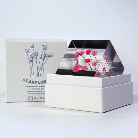 Acrylic Cube with Real Tiny Roses (Starflowers) Inside 6cm Cube Colorful Aesthetic Shelf Decor Desk Decor Paperweight for Girlfriend