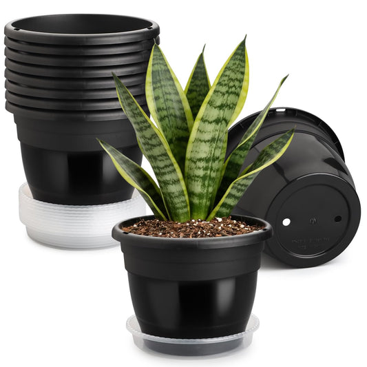 RooTrimmer 8 Inch Black Plastic Plant Pots Set of 10 with Clear Saucers – Durable Flower Pots with Drainage Holes for Indoor & Outdoor Plants