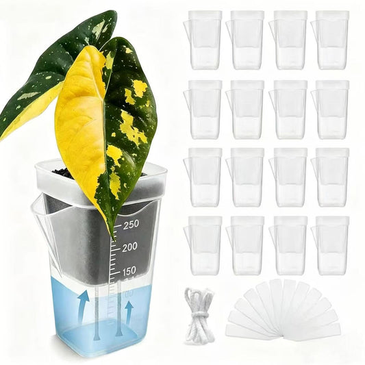 ckslkek 12 Pack 2.5 Inch Small Self Watering Pots for Indoor Plants with DIY Stickers, Clear Plastic Propagation Pots, Semi Hydroponic Pots for Leca PON, Includes 12 Plant Labels