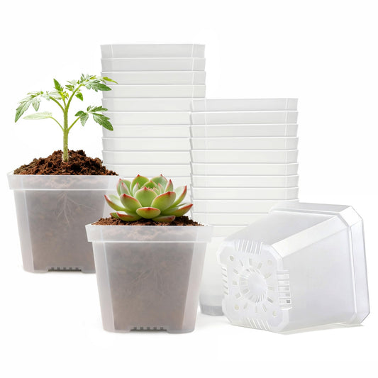 Plgardpo 4 Inch Clear Nursery Pots for Plants, 30 Pcs Square Plant Pots, Small Flower Pots for Plants, Hard Planters for Indoor Plants