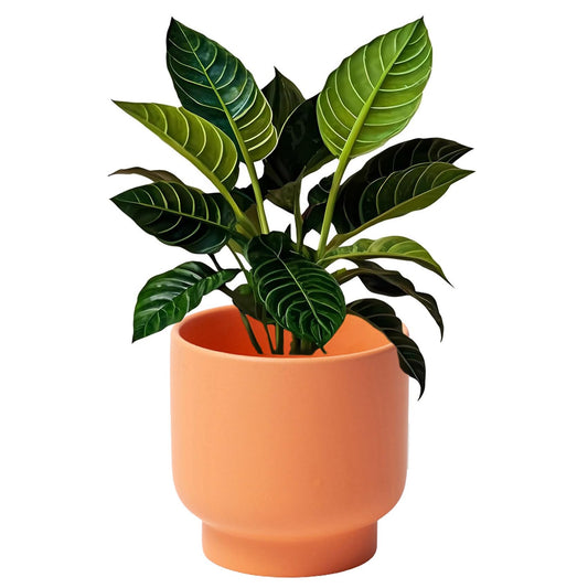 LB Orange Ceramic Planters for Indoor Plants, Succulent Plant Pots Ceramic Flower Pots, Modern Plant Pot for Living Room Office Home Decor, Round Flower Pot of 4.3 Inch(Plant Not Included)