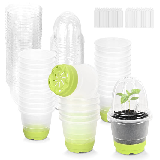 Sckee Clear Nursery Pots for Plants, 30 Packs Plastic Seed Starting Pots with Drainage Holes Plant Nursery Pots Silicone Base (Light Green, 4 inch with lids)