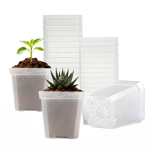 Plgardpo Clear Nursery Pots with Drainage, Square Plastic Plant Pots, 3 Inch Clear Seed Starter Flower Pots, 30 Pcs Small Pots for Seedling