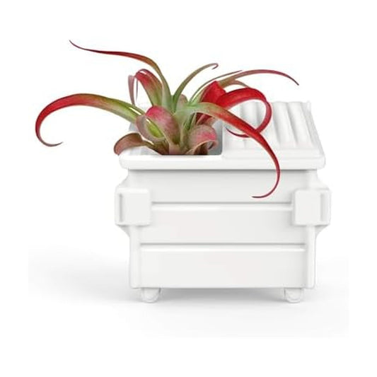 Fred Fancy Plants Dumpster Shaped Air Plant Holder - Unique Ceramic Planter for Tillandsia & Small Air Plants - Decorative Indoor Display for Office Desk, Bookshelf, Coffee Table