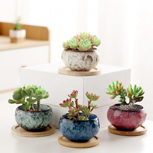 YYW Ceramic Plants Pots 3 Inch Set of 4 Flower Pots with Drainage and Bamboo Tray for Indoor/Outdoor Small House Plants,Foliage Plant (Set 1)