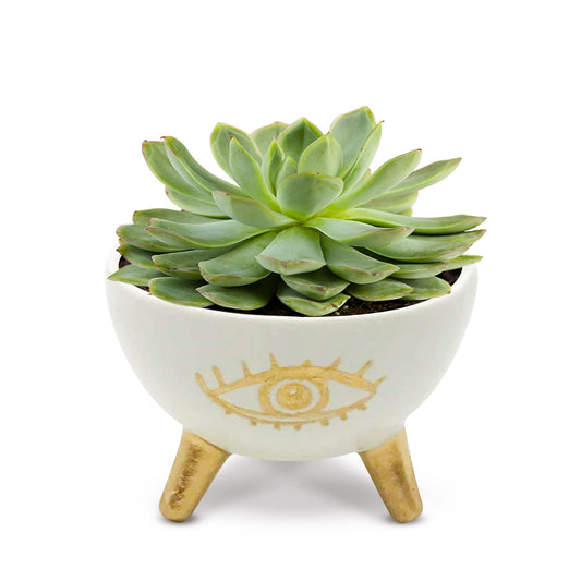 SLS SUPPLY FLORA - Gold Evil Eye Ring Bowl, Modern Table Top Planter and Ceramic Jewelry Dish, Small Decorative Bowl, Chic Table Key Holder for Coins and Other Trinkets