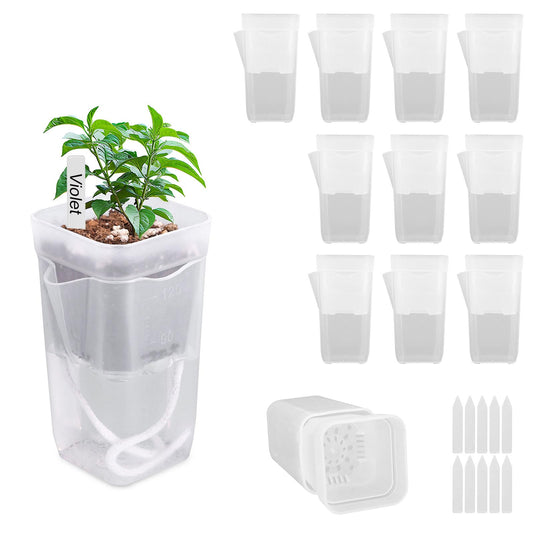 Goktvai 10pcs 2in/5cm Mini Self Watering Pots with Plant Labels and Wick, Clear Plastic Planters with Drainage Holes Water Level Indicator for Indoor Plants Alocasia Corm Propagation Sowing