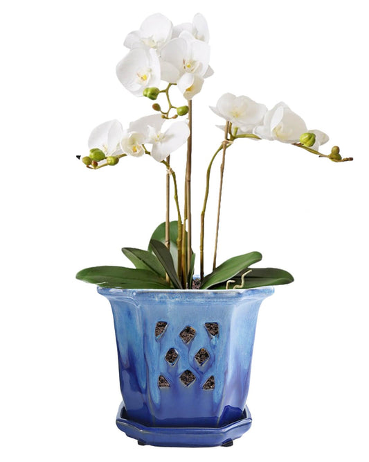 vensovo 6 Inch Ceramic Orchid Pots with Holes - Octagonal Orchid Pots for Repotting, Garden Planter Indoor and Outdoor with Attached Saucer Supports Air Circulation(Blue)