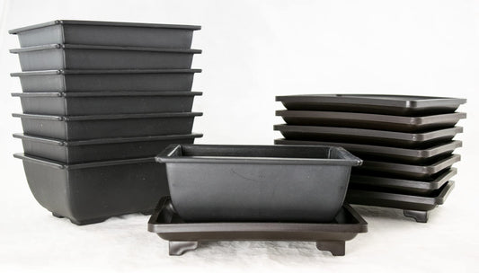 8 Sets Rectangular Plastic Shohin Bonsai Training Pot, Cactus & Succulent Planter + Tray 5 inches x 3.5 inches x 2 inches , Black