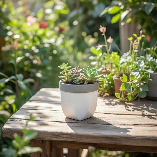 Hosley Grower Versa Pot Planter, 5 Inch - Perfect for Home Decor, Kitchen Decor & Planters for Outdoor Plants, Ideal for Office, Weddings, Floral Arrangements & Spa Settings