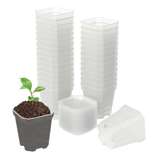 foxany 3" Clear Nursery Pots, 30 Pcs Thick Plastic Plant Pot, Square Flower Planting Pot, Seedling Planter Seed Starter Pots with Saucers