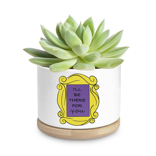Ywkuiev Succulent Planter, Flower Cactus Plant Pot, Friends Merchandise, Funny Friendship Decor Themed Gifts for Men Women Friends Sister Bestie Housewarming Gift (Plants Not Included)