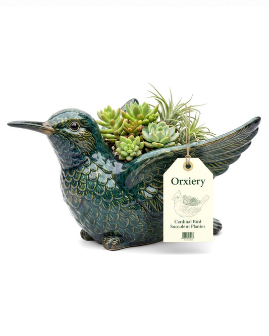 Orxiery Cardinal Bird Succulent Planter, Red Resin Decorative Flower Pot for Indoor Plants, Small Bird Planter for Desk Windowsill Garden Decor, Unique Gift(Hummingbird)