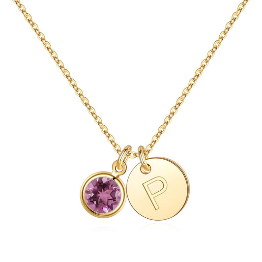 Hidepoo Initial Birthstone Necklace Gifts - Personalized Mothers Day Birthday Gift for Woman Wife Sister Grandma Mom, February Amethyst Birthstone Jewelry for Women, Disc Letter P Necklaces