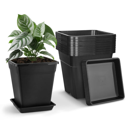 RimCereal 8 Pack 5 Gallon Large Square Nursery Pots 12 Inch with Drainage Saucers Black Plastic Plants Pots Outdoor Garden Planter Container for Indoor Outdoor Vegetables Flower Succulent Gifts