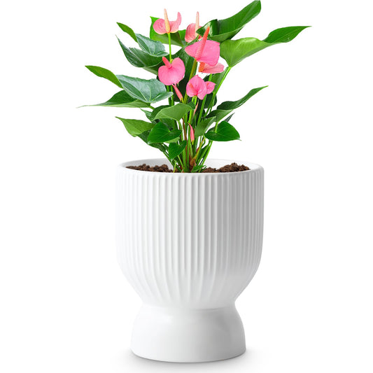 OXART 5.6 Inch Plant Pot, Ceramic Planters for Indoor Plants, Large Indoor Plant Pot with Drainage Holes, Flower Pots, Decorative Pots for Flowers & Herbs, White
