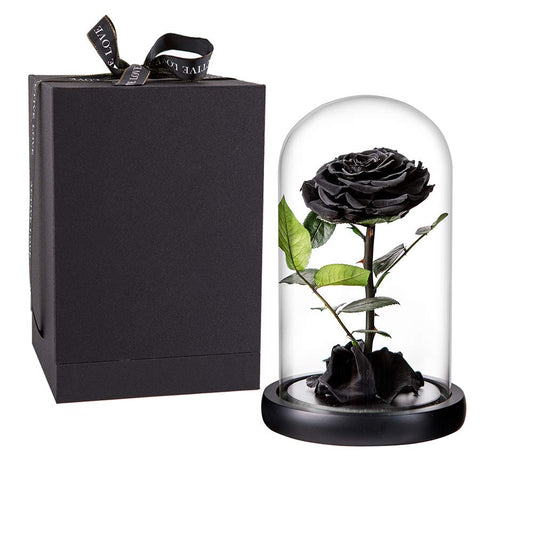 Preserved Roses Black Roses Handmade Real Rose in Glass Dome, Preserved Roses Never Withered Romantic Gifts for Her, Mother's Day, Birthday Gifts for Women (9 inch, Black)