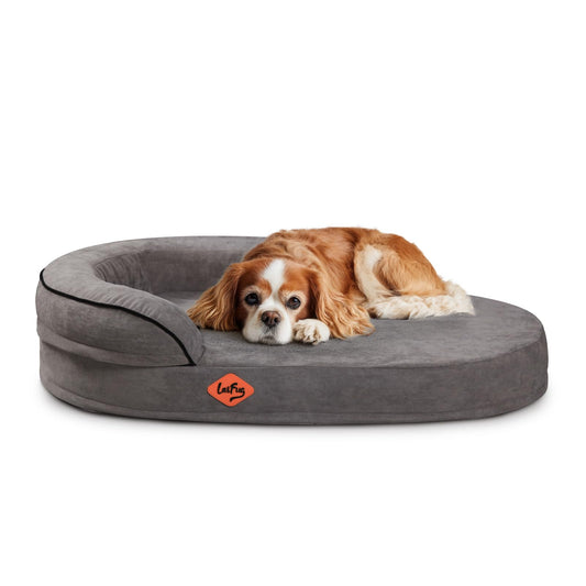 Laifug Memory Foam Oval Dog Bed (54x36x12Inches, Dark Gray), Orthopedic Dog Bed for Dogs with Durable Waterproof Liner & Removable Washable Cover & Nonskid Bottom