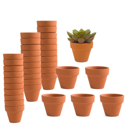 36 Pieces of Small Mini 2 inch Clay Flower pots, Cactus Succulent Nursery pots with Drainage Holes, Suitable for Indoor/Outdoor Succulent Plants, Crafts, Wedding Favor
