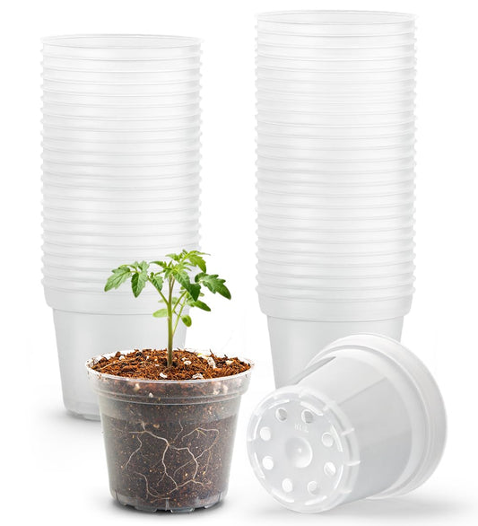 BTPLASTIK 50 Pack 3 Inch Clear Nursery Pots with Drainage Hole, Small Transparent Seed Starter Pots, Sturdy Plastic Plant Pot for Planting Seedlings Vegetables Flowers (3Inch-50P)