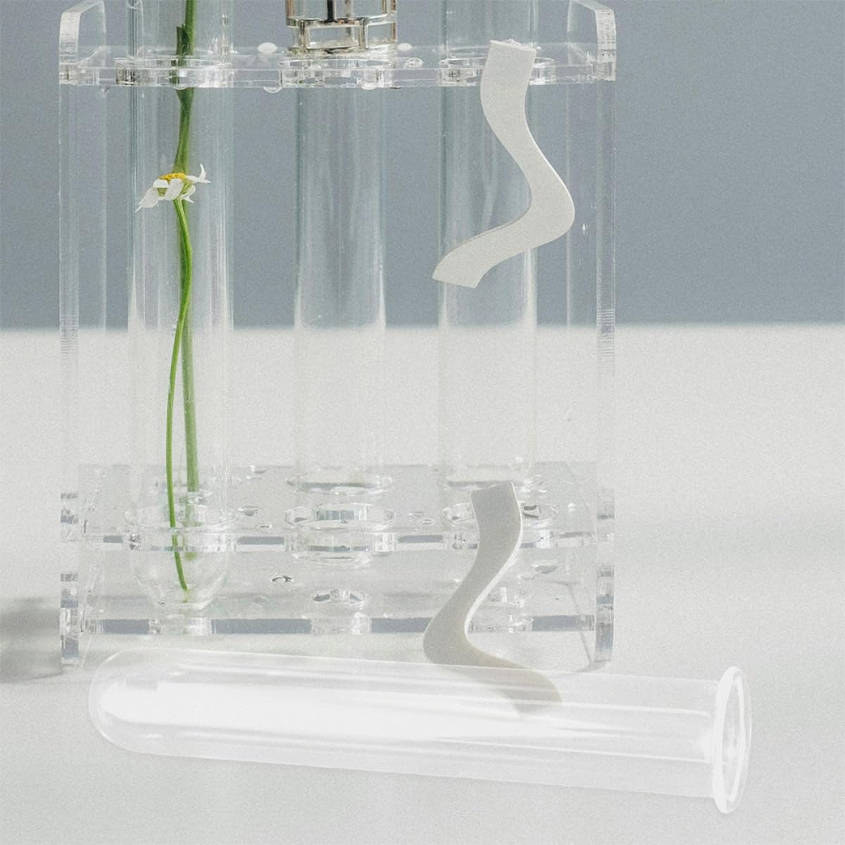 VALICLUD 4Pcs Glass Plant Tubes Propagation Vase Set 2.5X3X18Cm Hydroponic Test Tube Holders for Desk Terrarium Home Office Plant Propagation