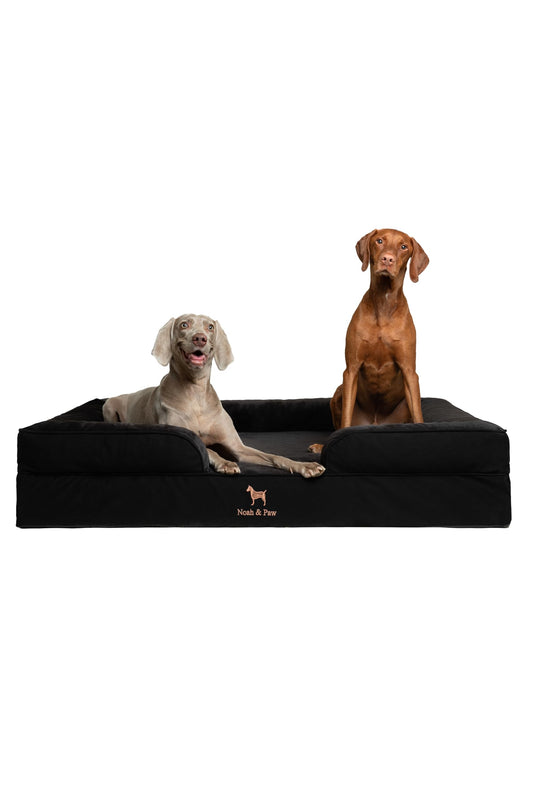 NOAH & PAW Giant Dog Bed XXL, 55x45x11 Inch, Orthopedic Dog Beds, Eggshell Memory Foam Infused with Cooling Gel, Inner Cover, Waterproof, Machine Washable (Denim Sofa Collection)
