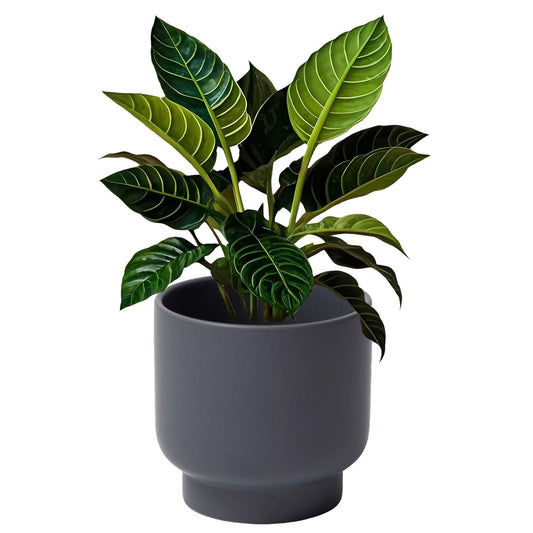 LB Grey Ceramic Planters for Indoor Plants, Succulent Plant Pots Ceramic Flower Pots, Modern Plant Pot for Living Room Office Home Decor, Round Flower Pot of 4.3 Inch(Plant Not Included)