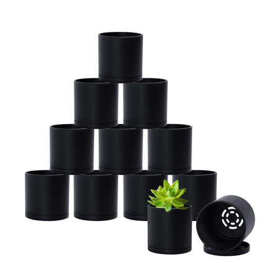 D'vine Dev 12 Pack 3 Inch Mini Plastic Plant Pots, Small Garden Planters for Plant with Drainage Holes and Saucers, Black Color, 74-Y-C-4