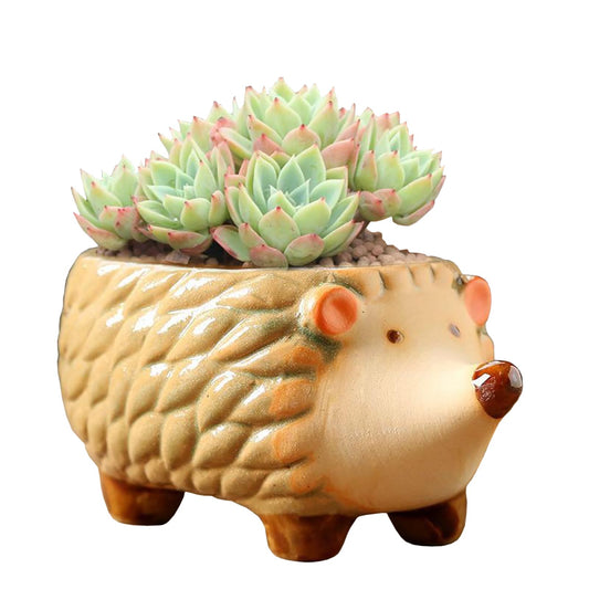 Gaolinci Cute Animal Shaped Ceramic Succulent Cactus Flower Pots (Plant Not Included) (Small, Hedgehog)